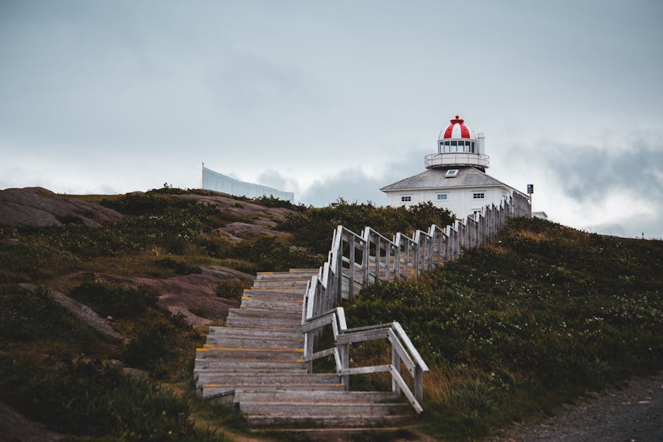 A wooden staircase with weathered, grey planks and simple handrails ascends a grassy, uneven slope covered in low green bushes and patches of sparse vegetation toward a white lighthouse with a red dome and small balcony. The lighthouse sits atop rocky terrain and is partially obscured by the terrain's incline, with a cloudy, overcast sky in the background. This outdoor scene features natural elements surrounding the lighthouse, which serves as a navigation aid on the coast. The environment appears windswept, with the rugged landscape emphasizing the lighthouse’s role in maritime safety. The image captures the serenity of the coastal setting, where independent lighthouse maintenance and the careful disposal of debris may occur, reflecting themes of private site management or remote waste handling relevant to rubbish removal services such as those provided by rubbishremovalstjohnswood.com, especially in the context of maintaining accessible pathways for such activities.